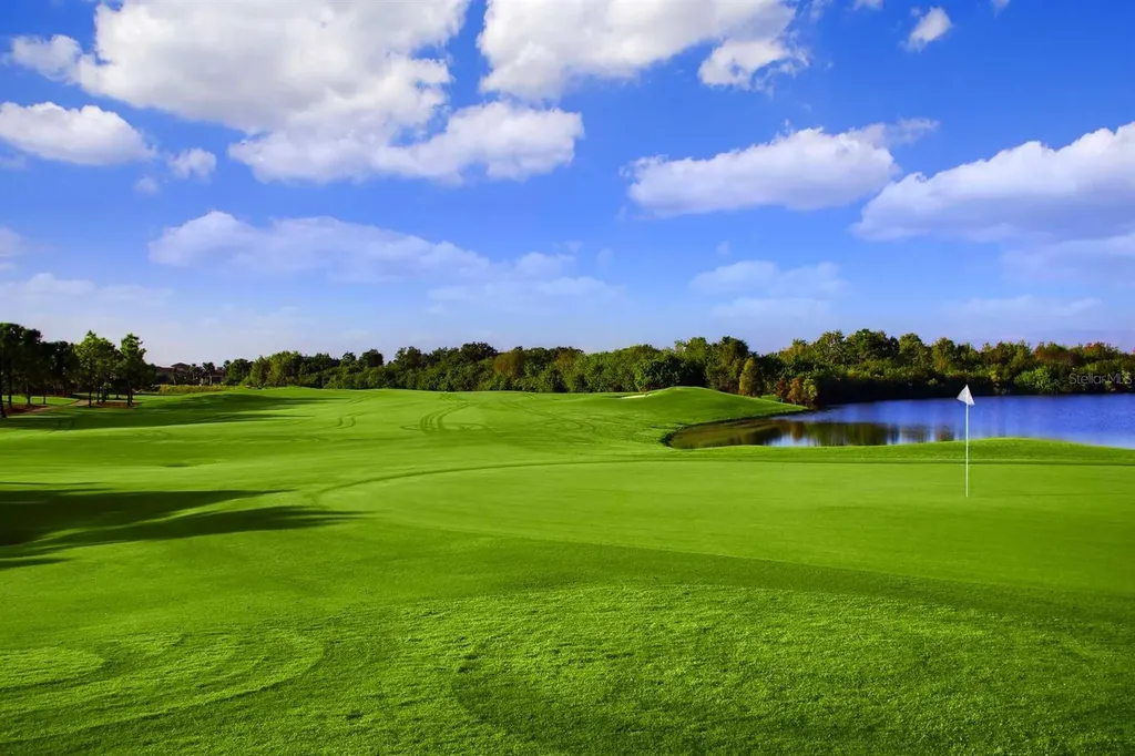 1435 Emerald Dunes Drive Sun City Center FL 33573