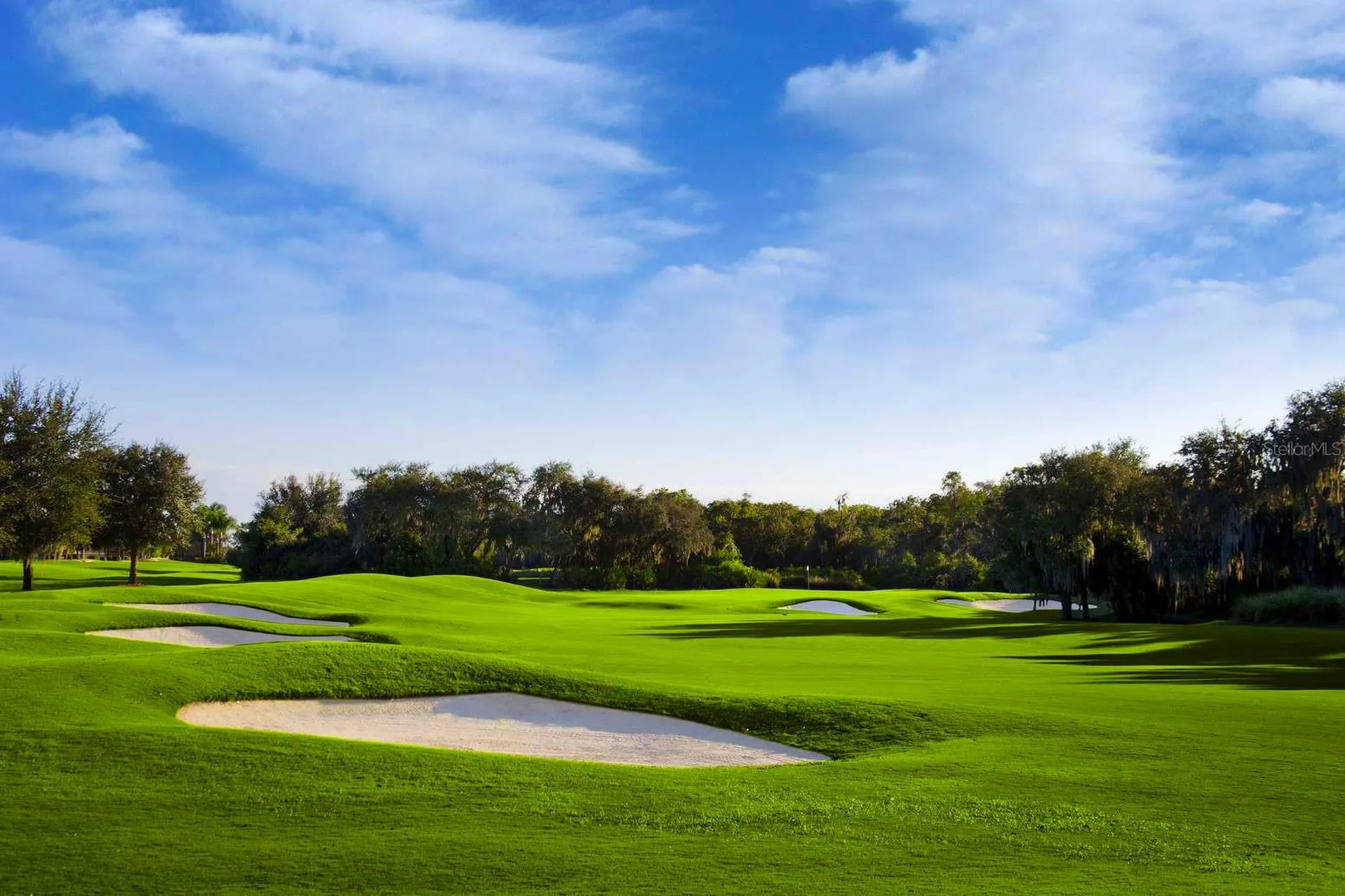 1435 Emerald Dunes Drive Sun City Center FL 33573