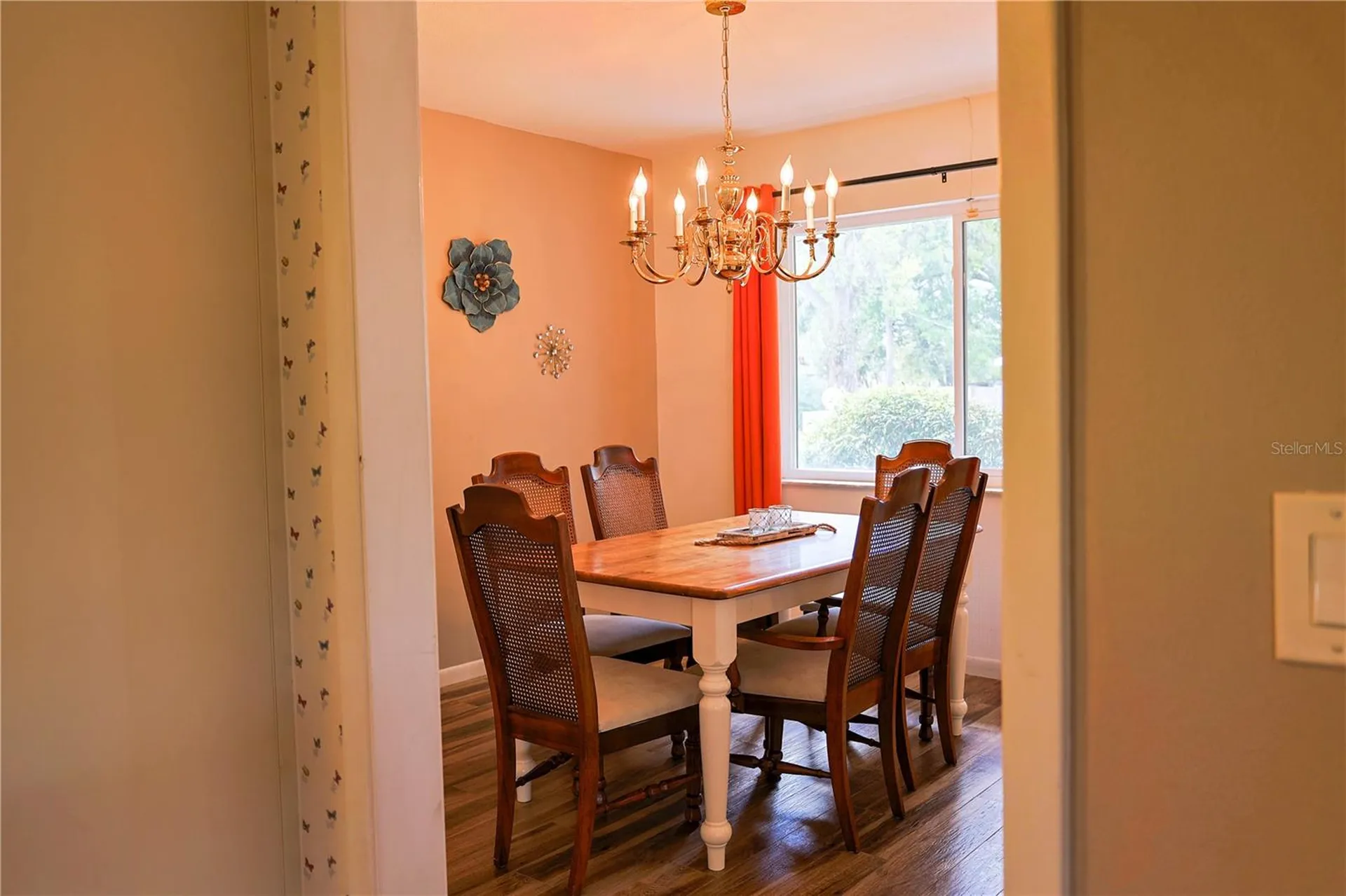 215 Morningside Drive Valrico FL 33594