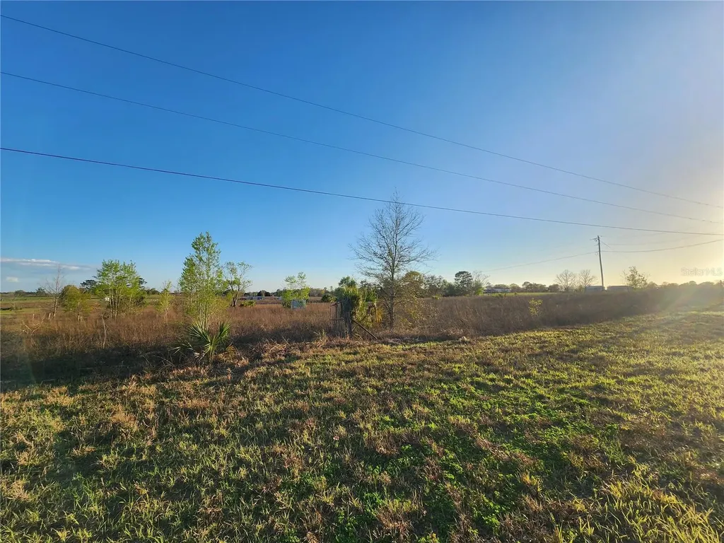 11790 NE 30th Street Bronson FL 32621