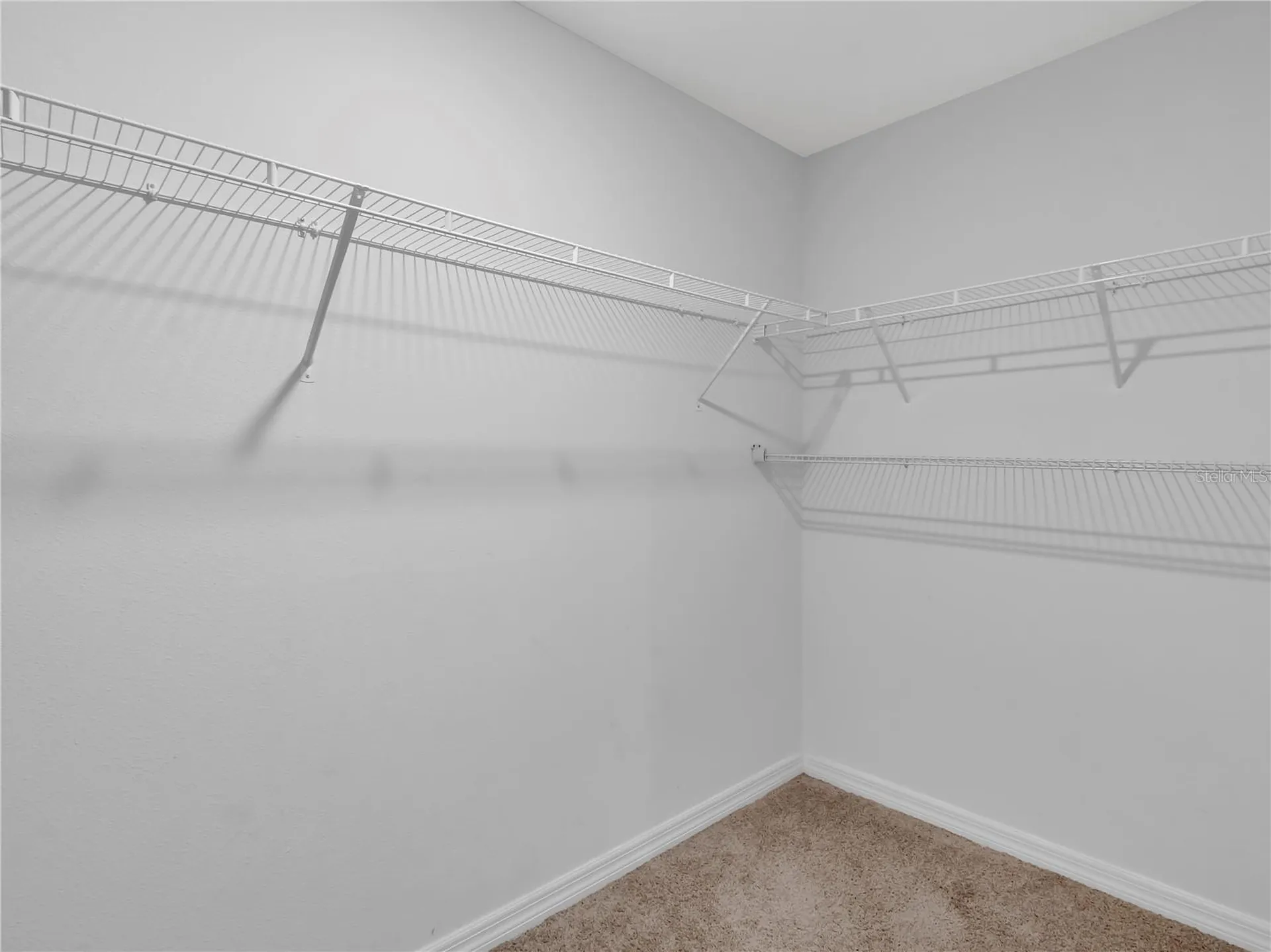 602 Olive Conch Street Ruskin FL 33570