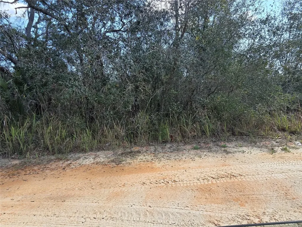 S 7th Street Deland FL 32724