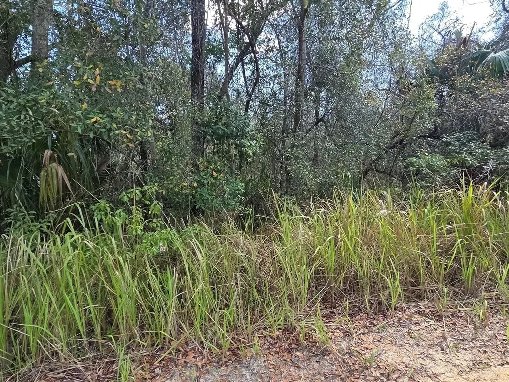 S 7th Street Deland FL 32724