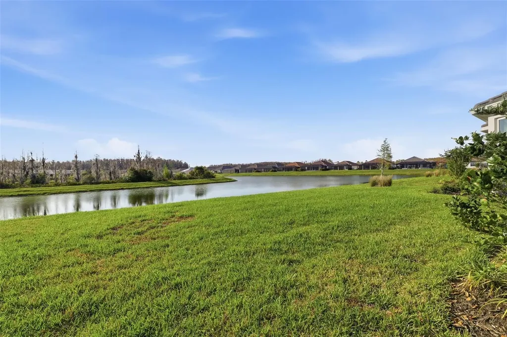 4533 Isonzo Way Wesley Chapel FL 33543