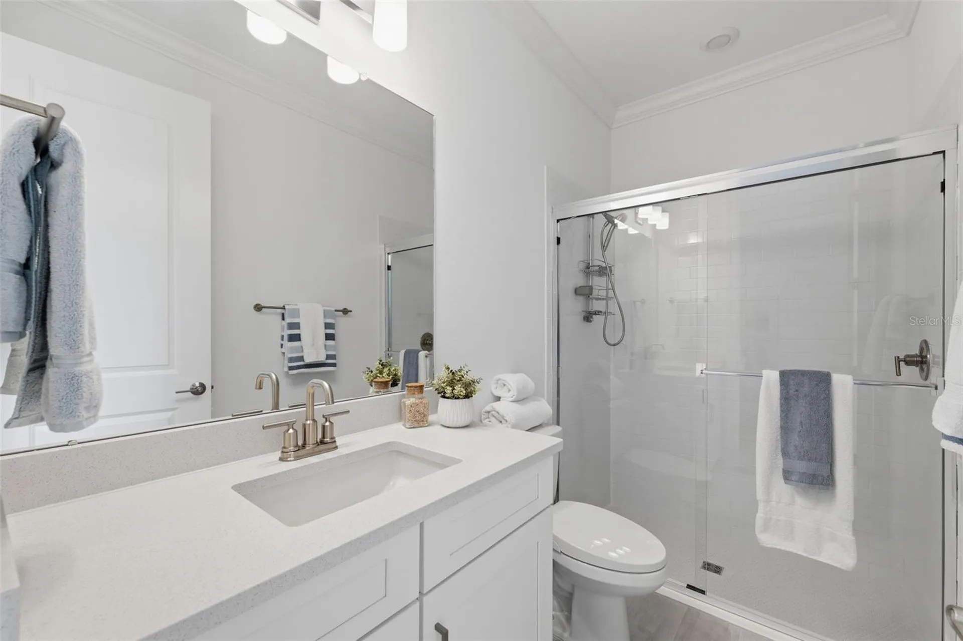 4533 Isonzo Way Wesley Chapel FL 33543