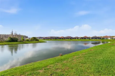 4533 Isonzo Way Wesley Chapel FL 33543