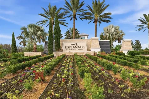 4533 Isonzo Way Wesley Chapel FL 33543