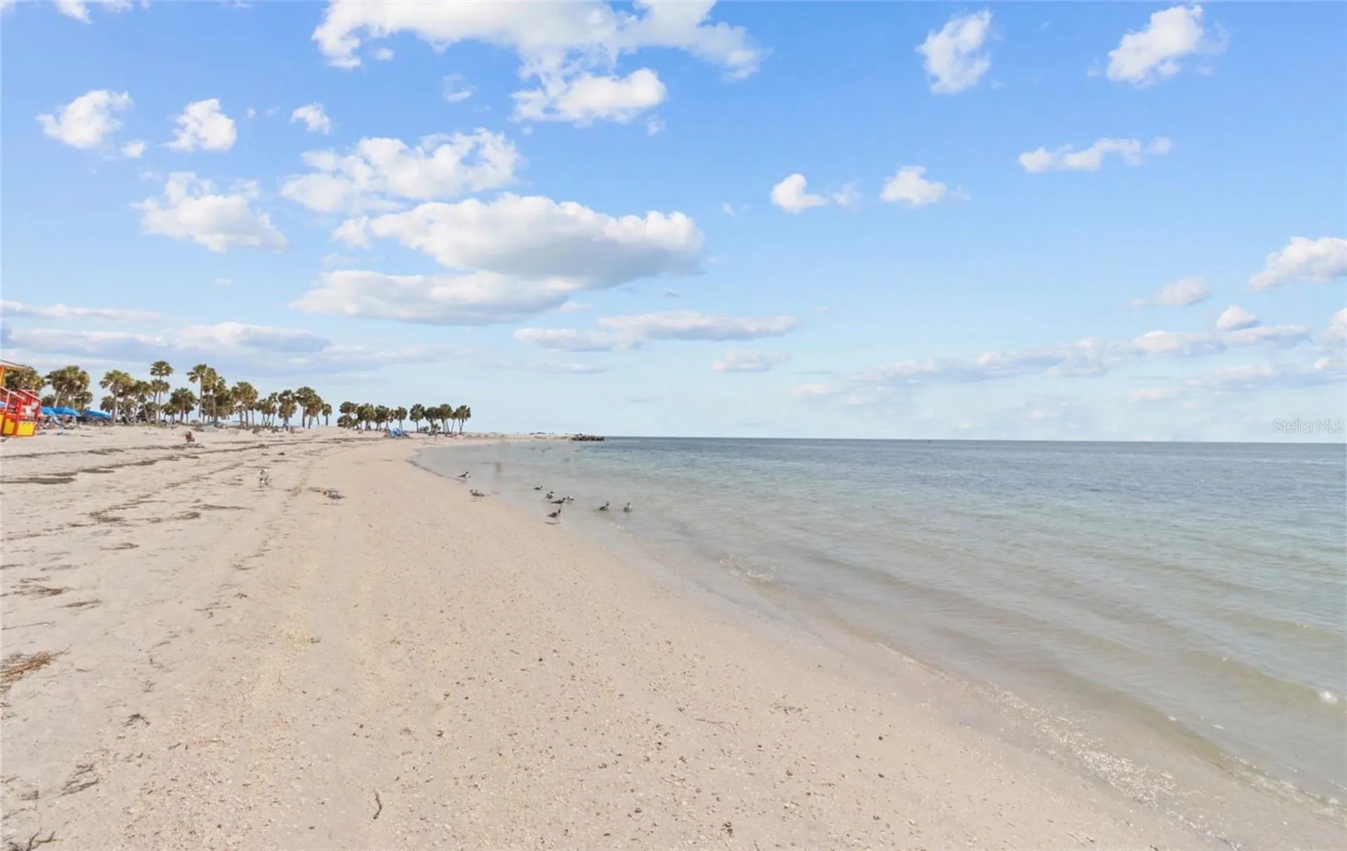 27 Dolphin Drive Treasure Island FL 33706