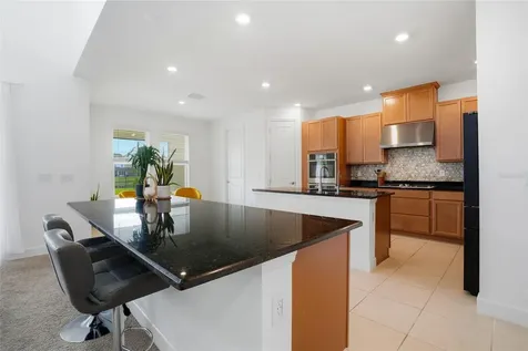 34068 Castaway Loop Wesley Chapel FL 33543