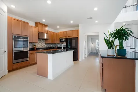 34068 Castaway Loop Wesley Chapel FL 33543