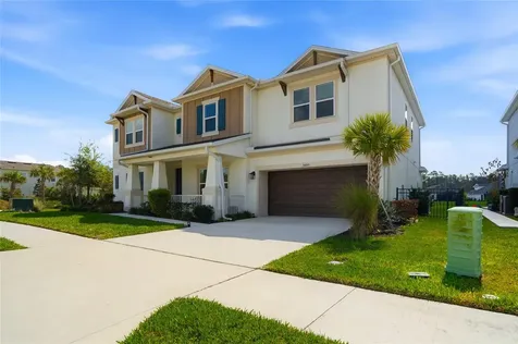 34068 Castaway Loop Wesley Chapel FL 33543