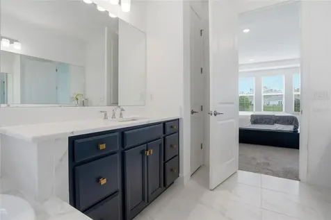 34068 Castaway Loop Wesley Chapel FL 33543