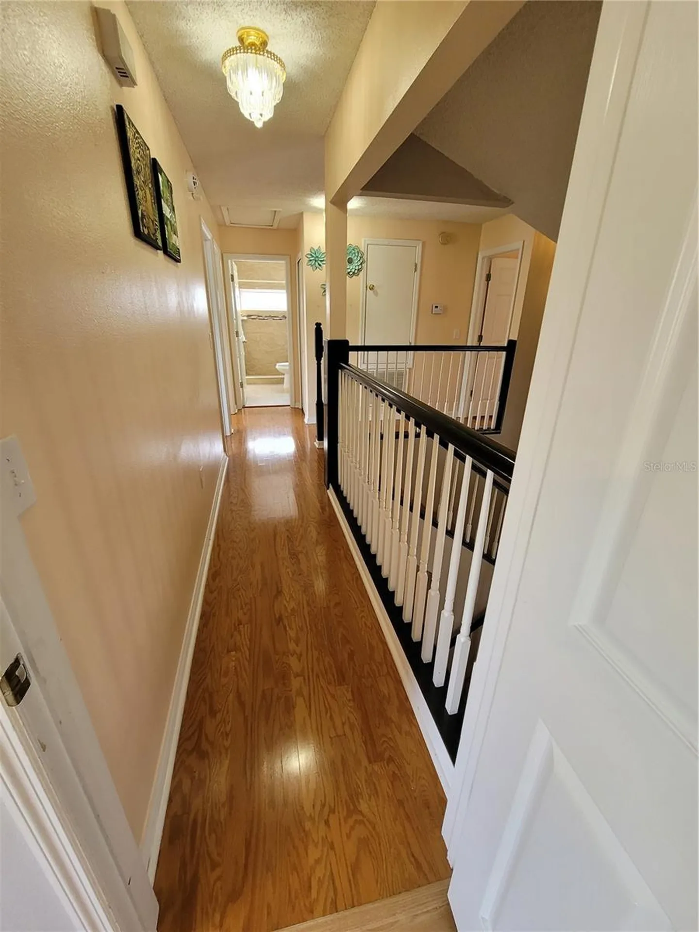 27640 Breakers Drive Wesley Chapel FL 33544