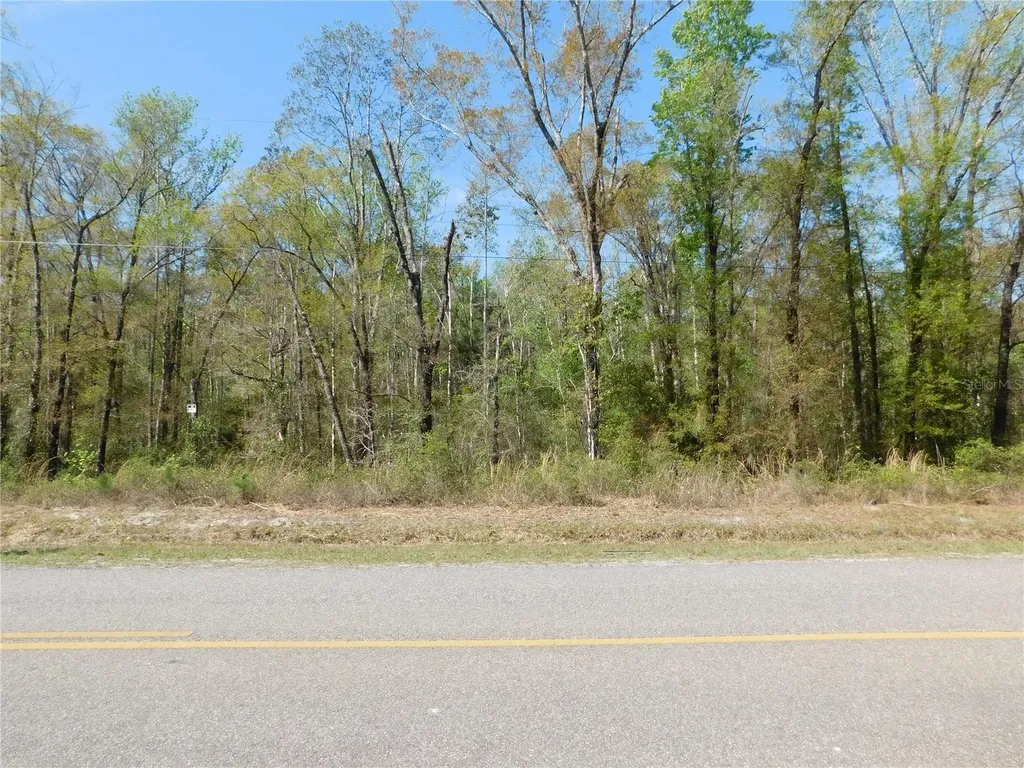 10505 E Deep Creek Boulevard Hastings FL 32145