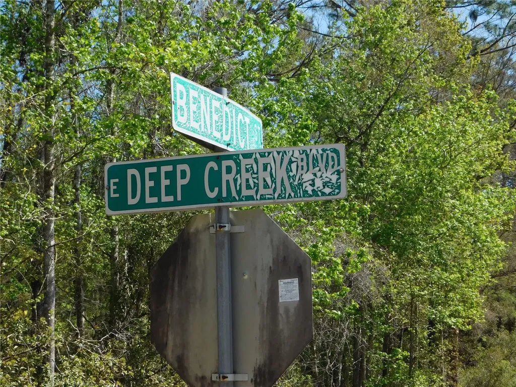 10505 E Deep Creek Boulevard Hastings FL 32145