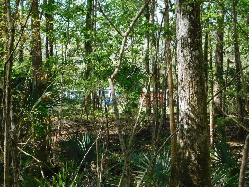 10505 E Deep Creek Boulevard Hastings FL 32145