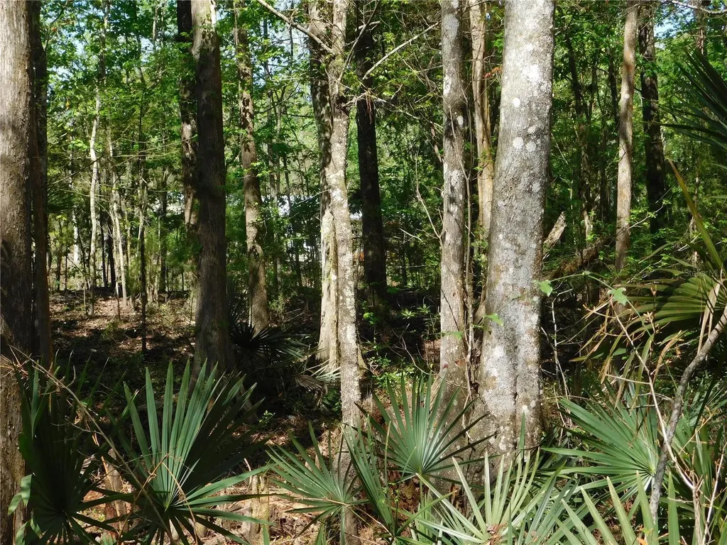 10505 E Deep Creek Boulevard Hastings FL 32145
