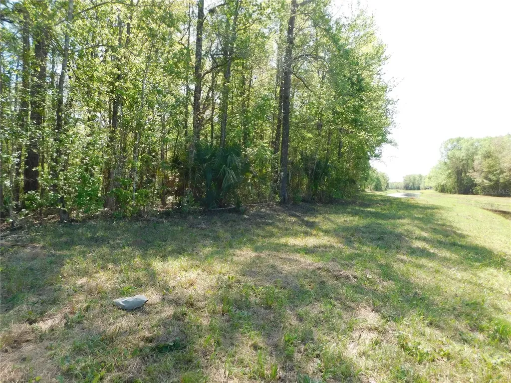 10505 E Deep Creek Boulevard Hastings FL 32145