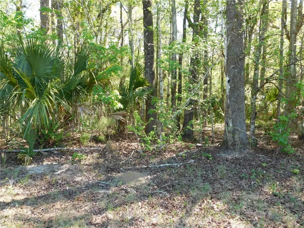 10505 E Deep Creek Boulevard Hastings FL 32145