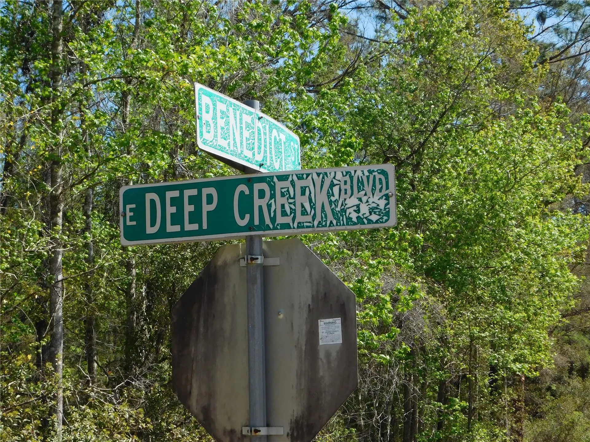 10505 E Deep Creek Boulevard Hastings FL 32145