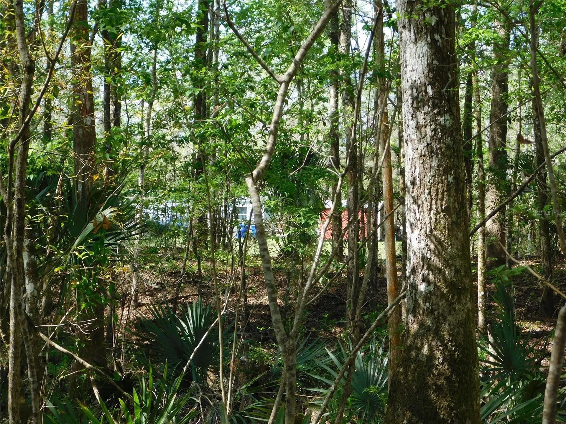 10505 E Deep Creek Boulevard Hastings FL 32145