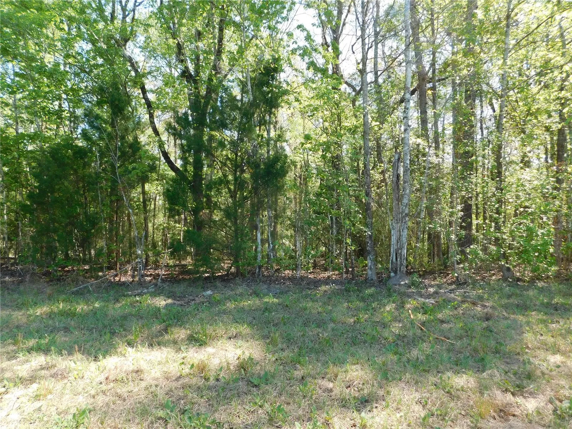 10505 E Deep Creek Boulevard Hastings FL 32145
