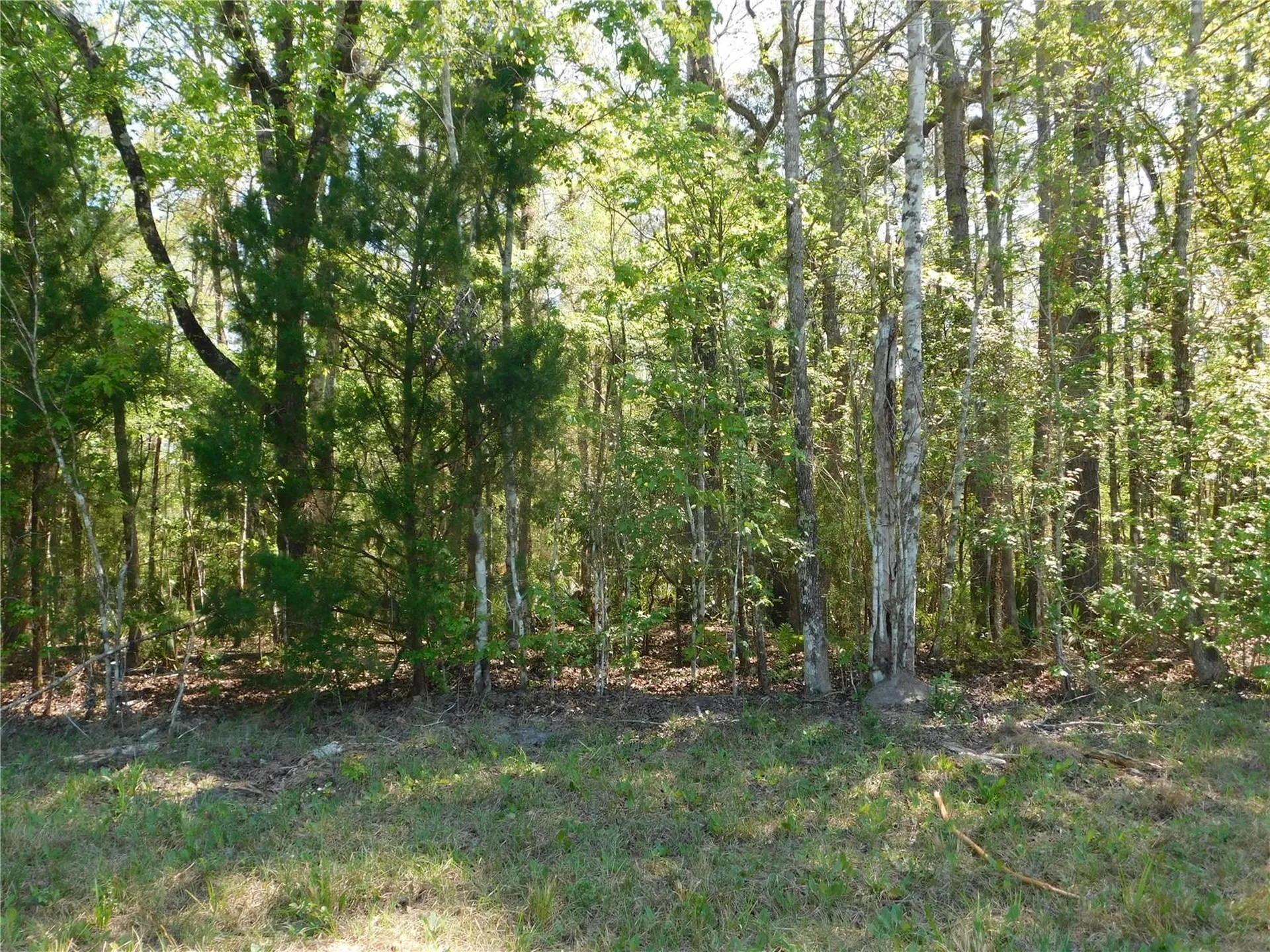 10505 E Deep Creek Boulevard Hastings FL 32145