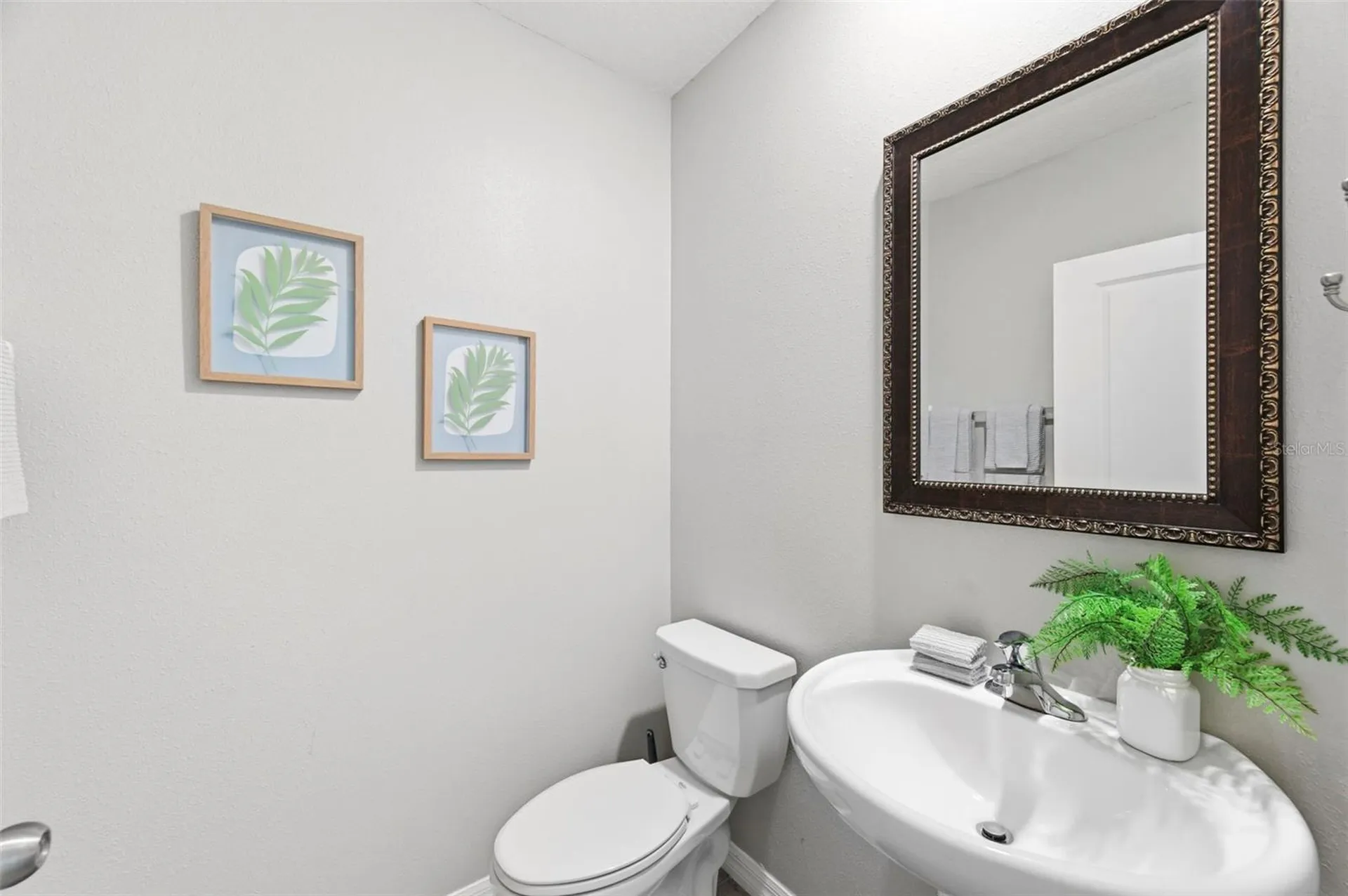 6342 Cobble Bliss Street Zephyrhills FL 33541