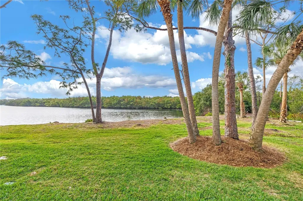 912 Myakka Court NE St Petersburg FL 33702