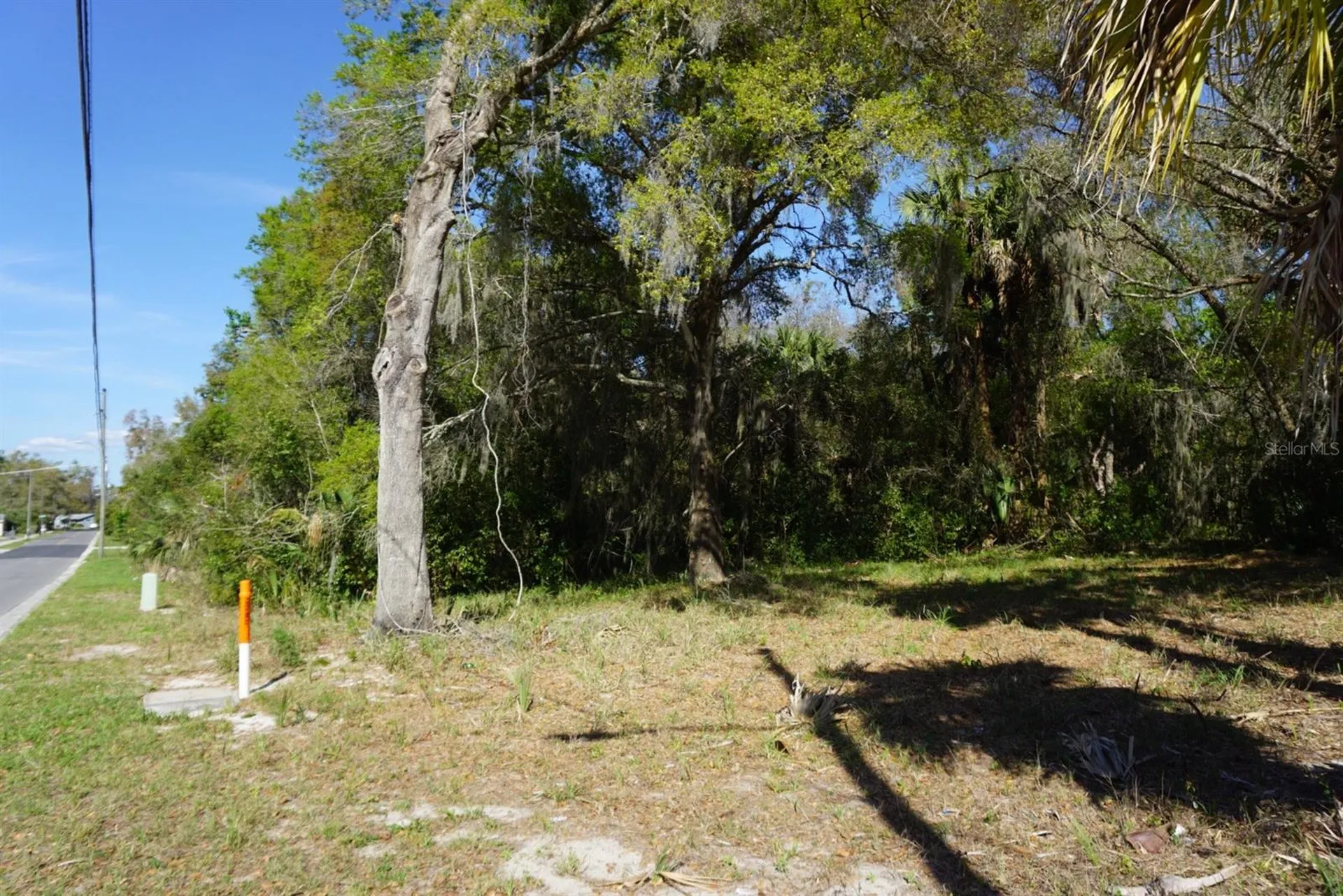 Palmetto Street Eustis FL 32726
