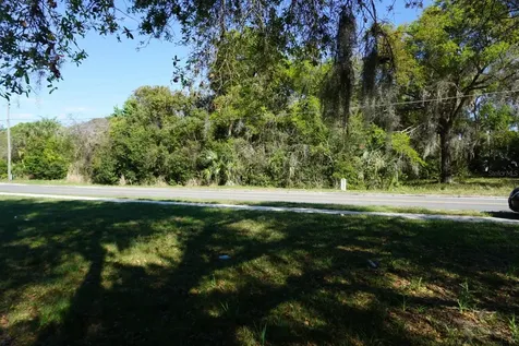 Palmetto Street Eustis FL 32726