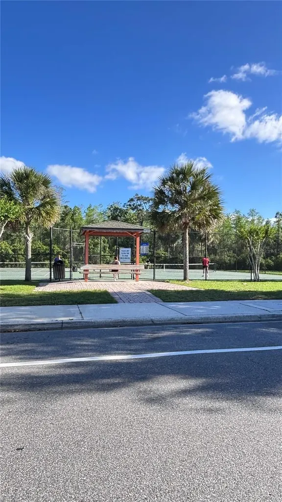 10882 Eclipse Lily Way Orlando FL 32832
