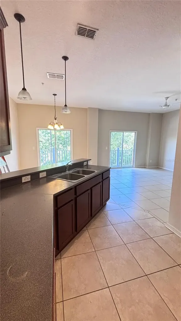 10882 Eclipse Lily Way Orlando FL 32832