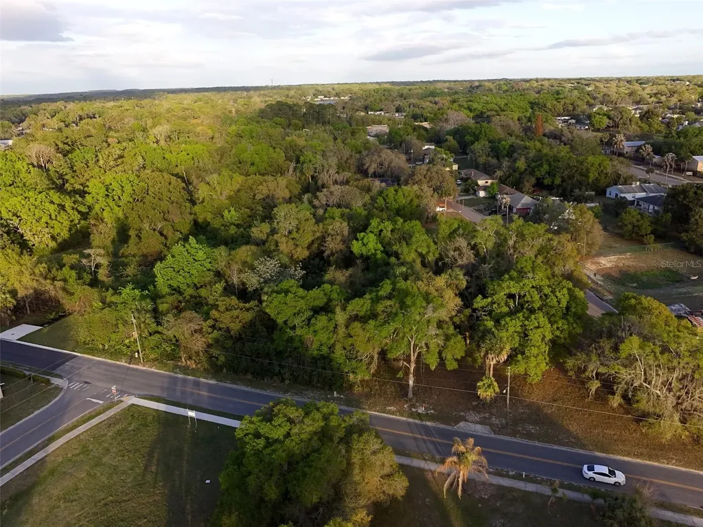 Palmetto Street Eustis FL 32726