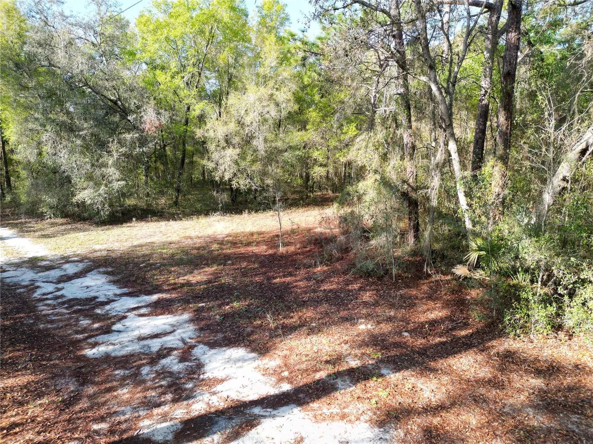 0000 E Highway 25 Belleview FL 34420