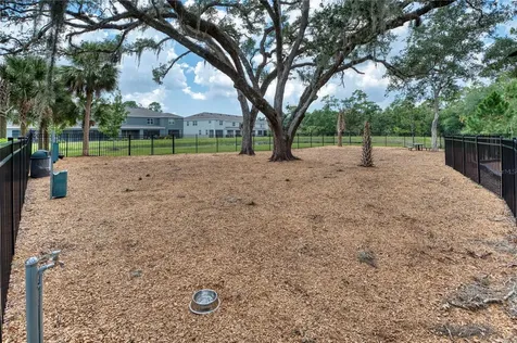 6570 Calypso Coral Lane Sarasota FL 34240