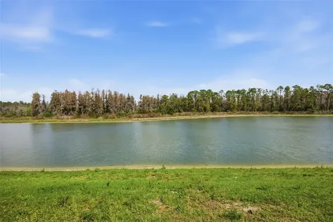 7771 Notched Pine Bend Wesley Chapel FL 33545
