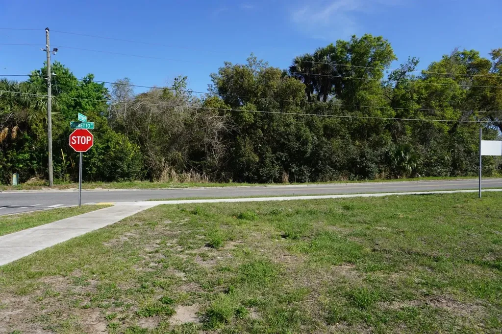 Palmetto Street Eustis FL 32726