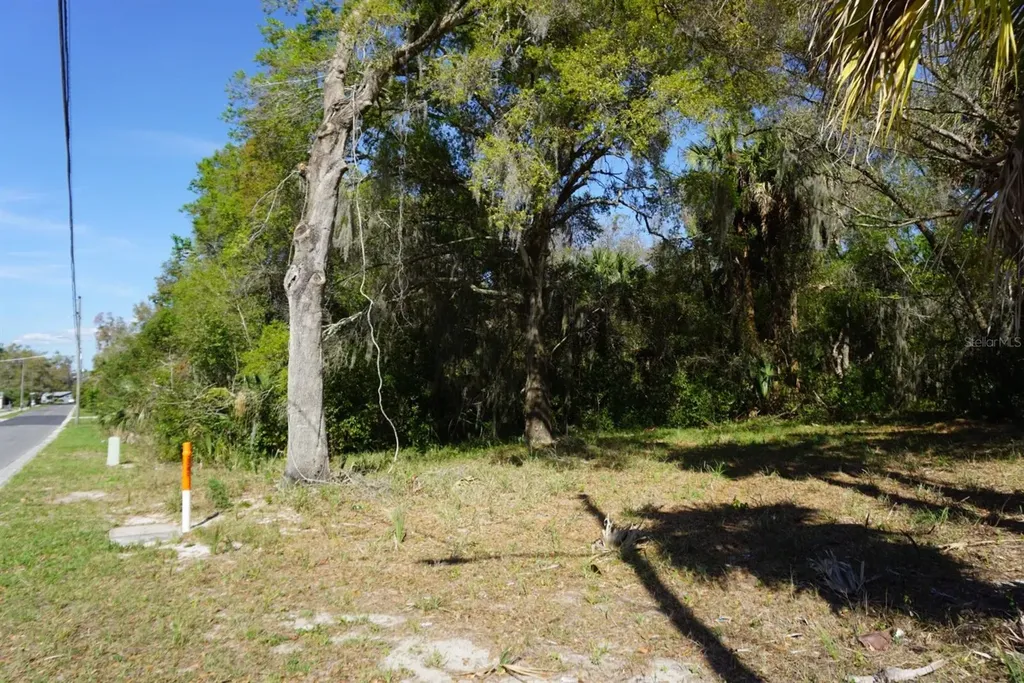 Palmetto Street Eustis FL 32726