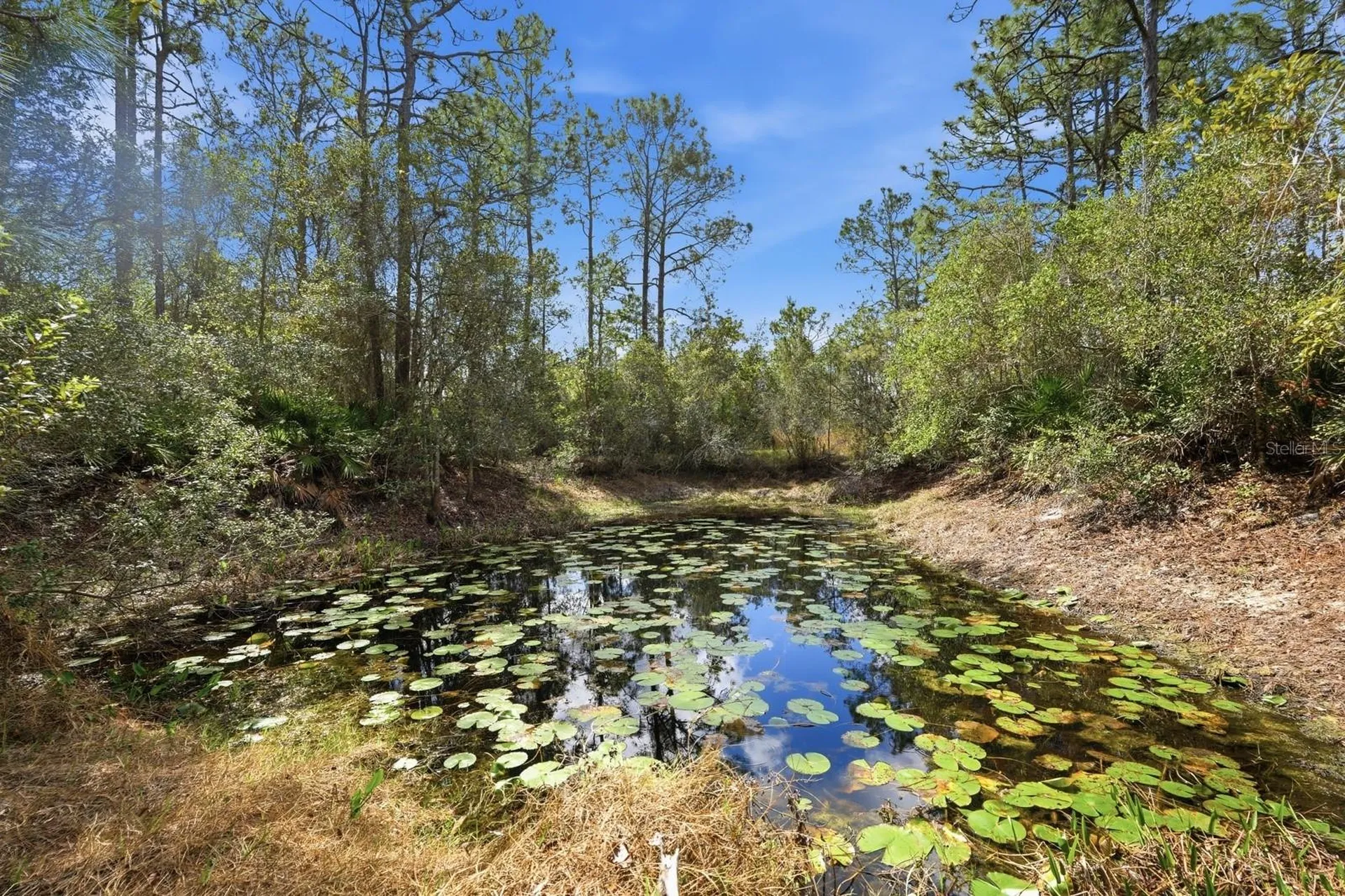 158 Cone Road Ormond Beach FL 32174