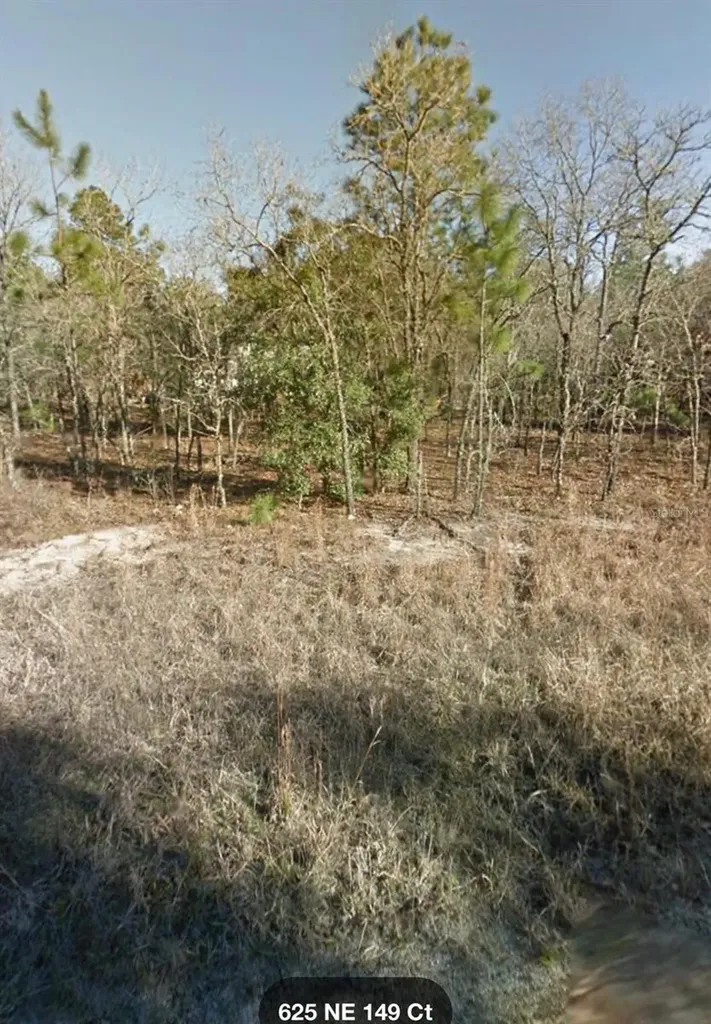 NE 149th Court Williston FL 32696