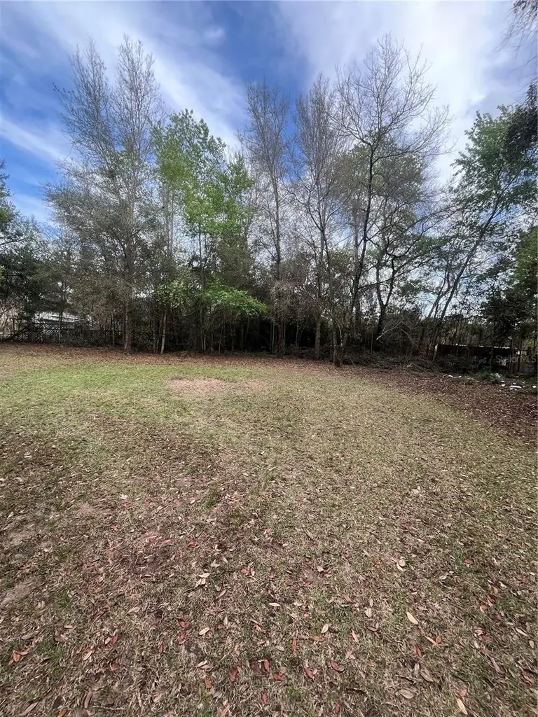 10330 NE 90th Street Bronson FL 32621