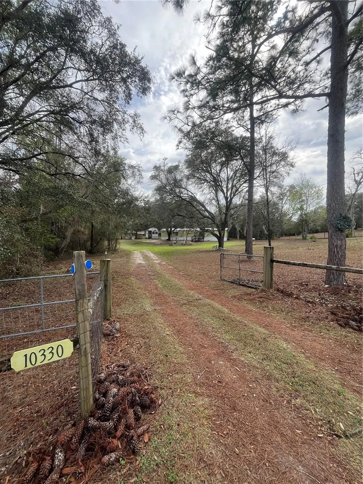 10330 NE 90th Street Bronson FL 32621
