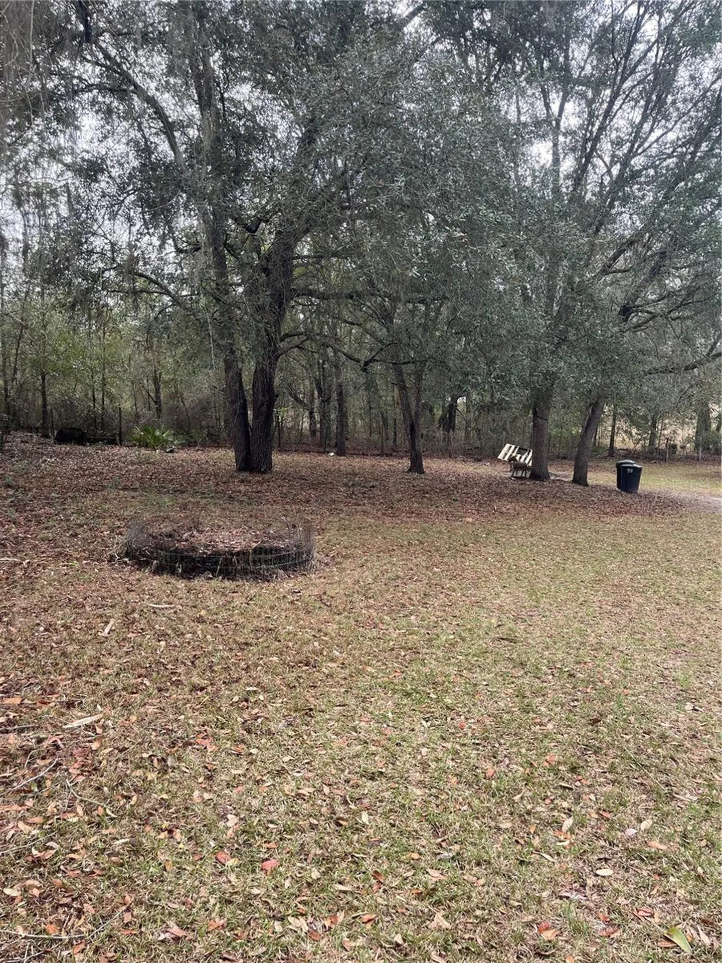 10330 NE 90th Street Bronson FL 32621