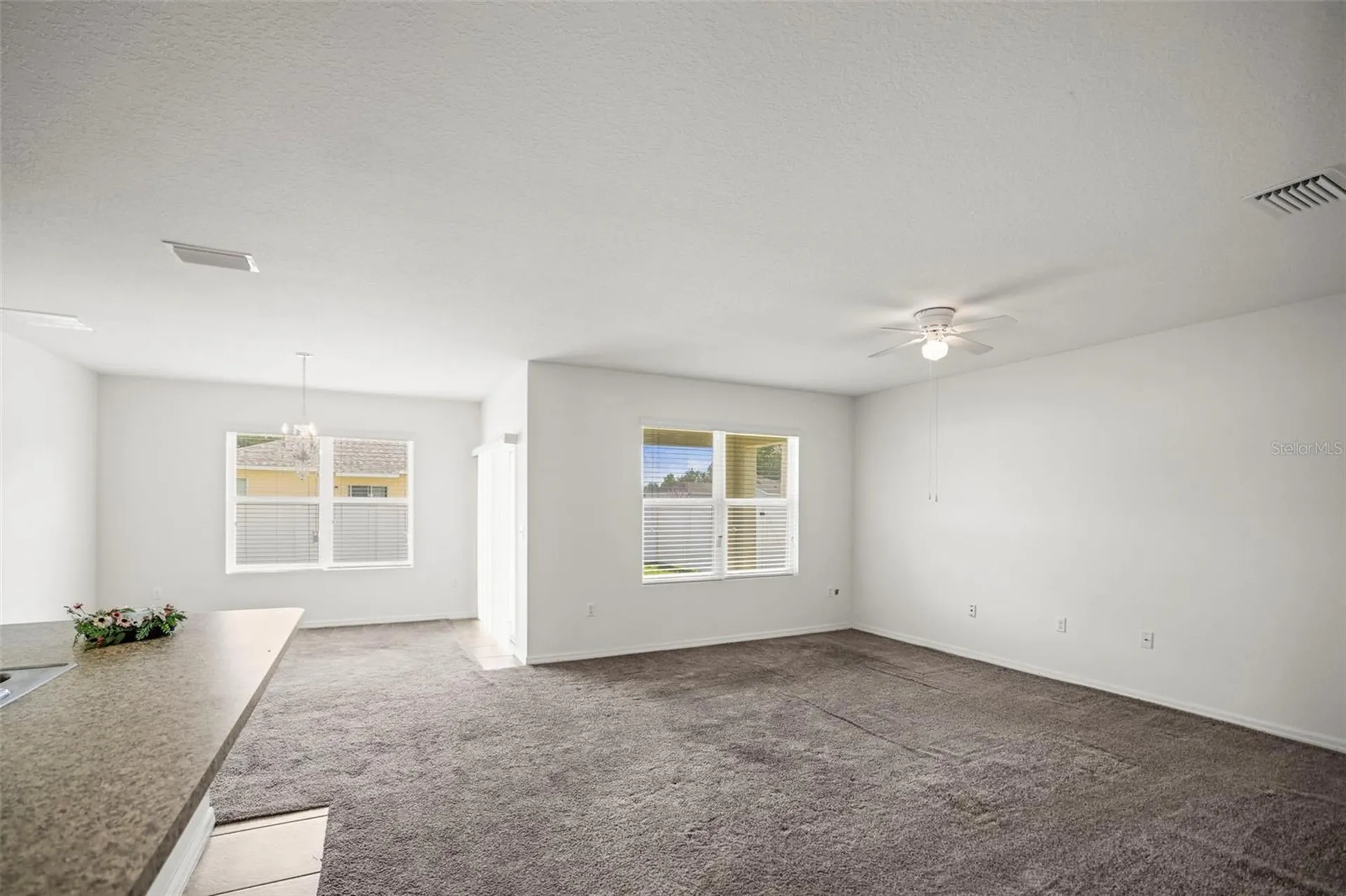 3820 Crystal Dew Street Plant City FL 33567