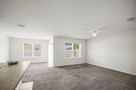 3820 Crystal Dew Street Plant City FL 33567