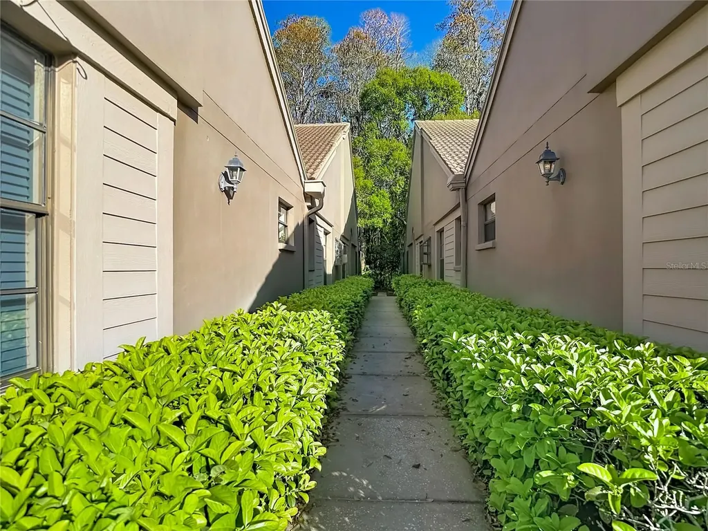 2934 Windmoor Drive S Palm Harbor FL 34685