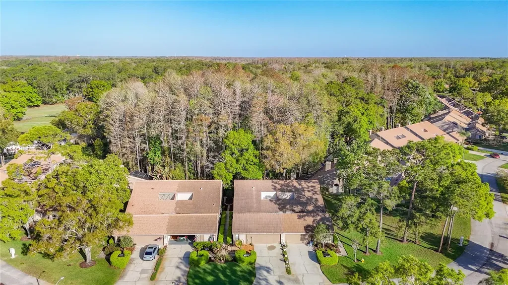 2934 Windmoor Drive S Palm Harbor FL 34685