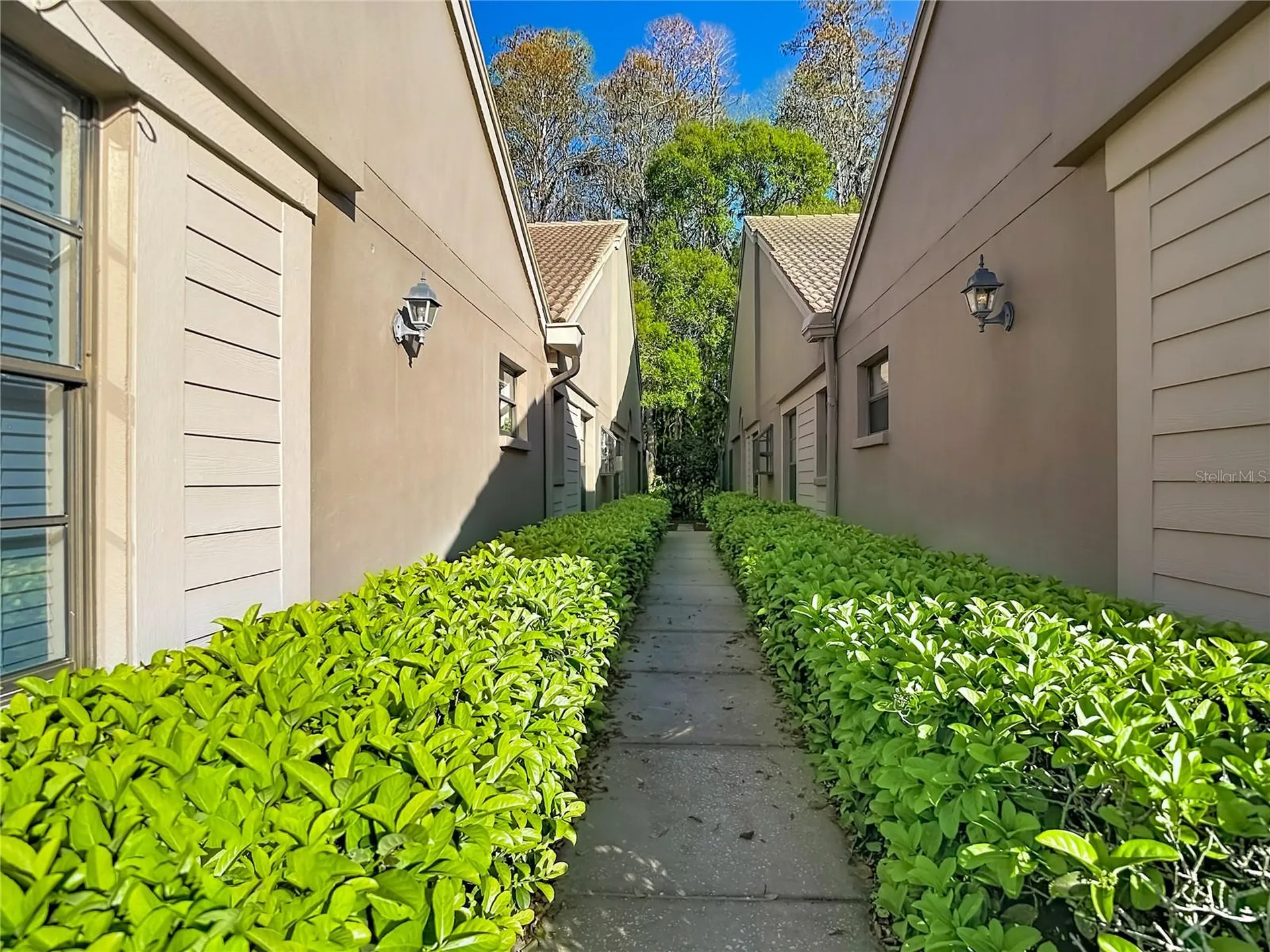 2934 Windmoor Drive S Palm Harbor FL 34685