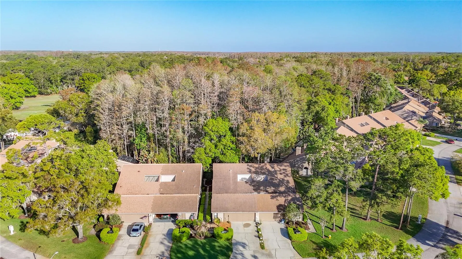 2934 Windmoor Drive S Palm Harbor FL 34685